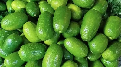 অতিরিক্ত লেবু পানি পান ডেকে আনতে পারে বিপদ