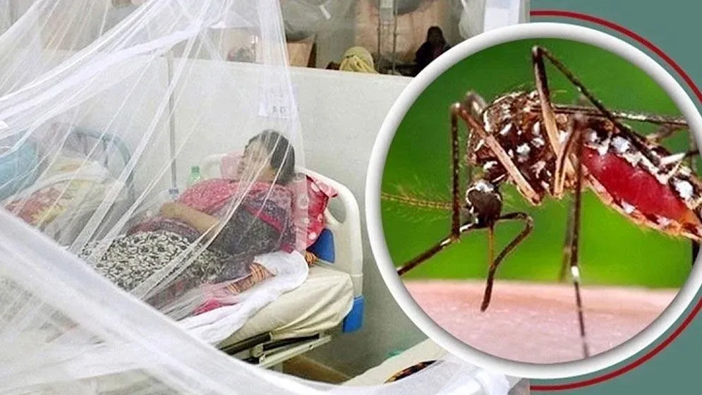 ডেঙ্গুতে আরও চারজনের মৃত্যু