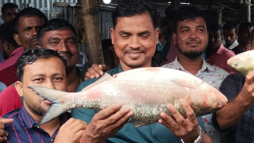 ভোলায় ধরা পড়ল রাজা ইলিশ, দাম কত জানেন?