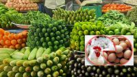 কাঁচাবাজারে কিছুটা স্বস্তি ফিরলেও চড়া ডিম-মুরগির দাম