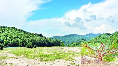 প্রকৃতির সাজঘর কলমাকান্দা
