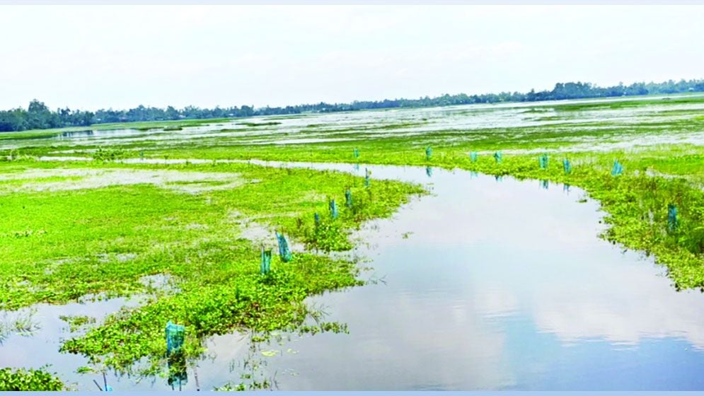 স্বপ্নের প্রকল্পেও সিঁধ কাটে চক্র