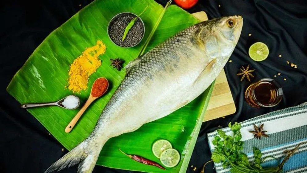 ইলিশের স্বাদ ঠিক রাখতে সংরক্ষণ করুন ৩ উপায়ে