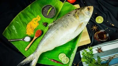 ইলিশের স্বাদ ঠিক রাখতে সংরক্ষণ করুন ৩ উপায়ে