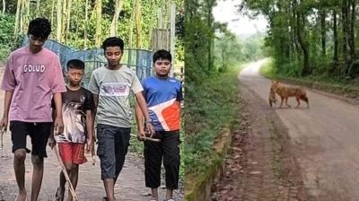 কালিয়াকৈরে শিয়ালের কামড়ে শিশুসহ আহত ২৫