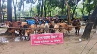 সীমান্তে ১ কোটি ৮৬ লাখ টাকার চোরাই মালামাল জব্দ