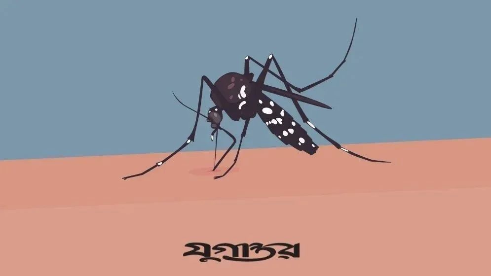 ২৪ ঘণ্টায় ডেঙ্গুতে ৪ জনের মৃত্যু