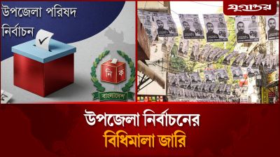 উপজেলা নির্বাচনের নতুন বিধিমালা জারি | Upazila Election Rules