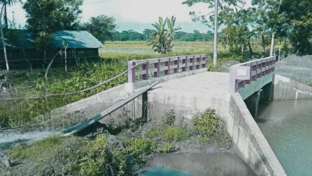 সেতু আছে, পথ নেই: বাঁশ-সুপারি গাছে ঝুঁকি নিয়ে পারাপার