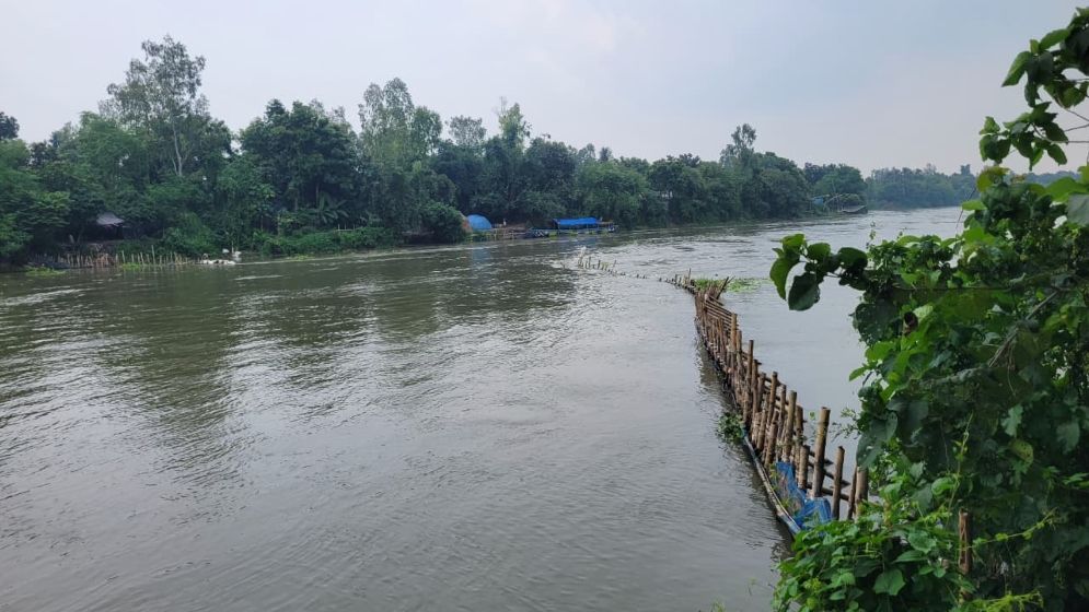 চলনবিলে হুমকির মুখে দেশীয় মাছ ও জীববৈচিত্র্য