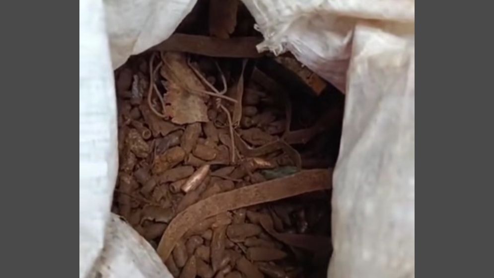 কবরস্থান থেকে ২৪ কেজি ব্যবহৃত বুলেটের ধাতব অংশ উদ্ধার