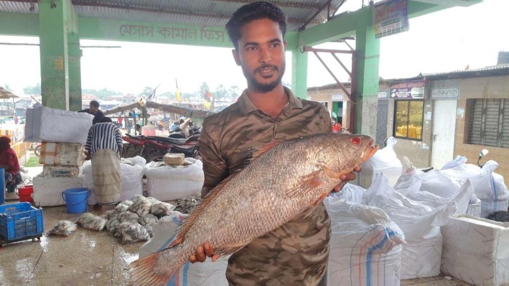 এক পোয়া মাছের দাম ৪০ হাজার টাকা