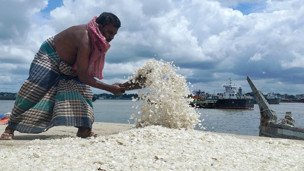 ফেলে দেওয়া মাছের আঁশেই লাখ ডলারের বাজার