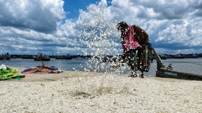 ফেলে দেওয়া মাছের আঁশেই লাখ ডলারের বাজার
