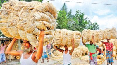 পাট রপ্তানি করে ১০ বছরে বাংলাদেশের আয় ৮৪ হাজার কোটি টাকা