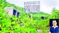 অন্যের জমিতে সাইনবোর্ড ঝুলিয়েও চাঁদা আদায় করেন কৃষক দলের নেতা আলমগীর