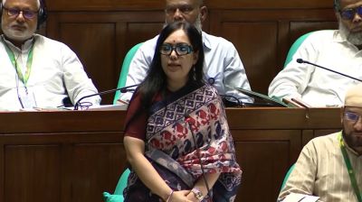 সংসদে আমাকে অকথ্য ভাষায় গালাগাল করা হয়েছে: রুমিন ফারহানা
