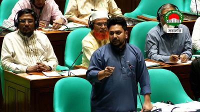 স্থায়ী কমিটিগুলোকে অকার্যকর করার চেষ্টা না করার আহ্বান নাহিদের