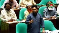 স্থায়ী কমিটিগুলোকে অকার্যকর করার চেষ্টা না করার আহ্বান নাহিদের