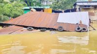 ফারাক্কার ১০৯ গেটই খোলা, বন্যার আভাস