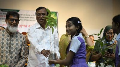 বাড়ির আঙিনায় মশার প্রজনন হলে জেল জরিমানা