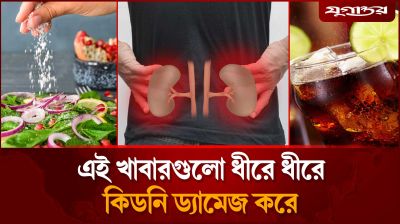 যেসব খাবার কিডনিকে ধীরে ধীরে ধ্বংস করে