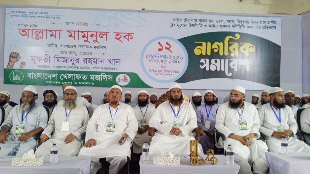 বিএনপির সমালোচনায় মামুনুল হক