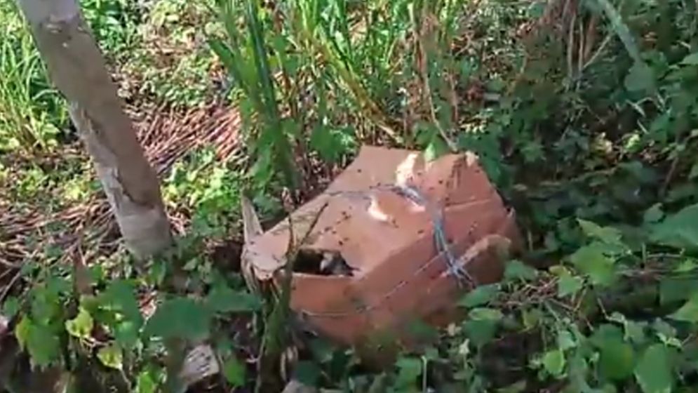 মধুখালীতে তিন কার্টনভর্তি ছয় টুকরো লাশ উদ্ধার