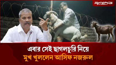 এবার সেই ছাগল চুরি নিয়ে মুখ খুললেন আসিফ নজরুল
