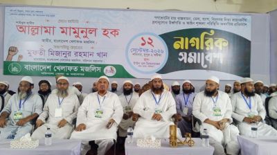 বিএনপির সমালোচনায় মামুনুল হক