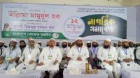 বিএনপির সমালোচনায় মামুনুল হক