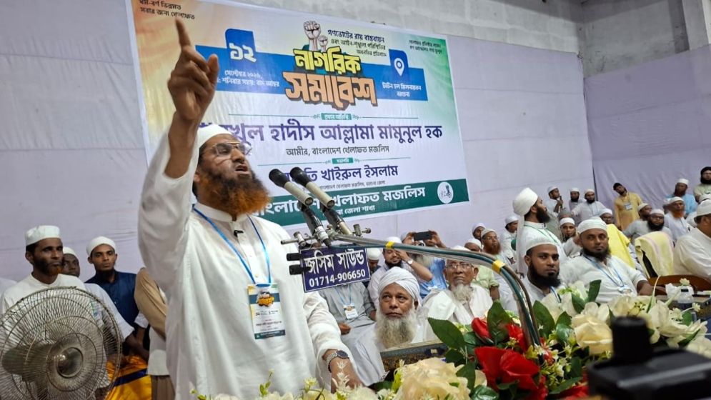 রাষ্ট্রপতির সমালোচনায় মামুনুল হক