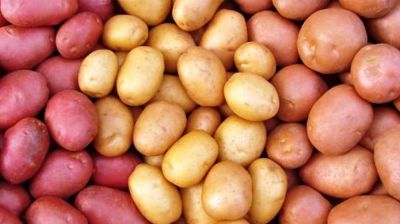 আলু দীর্ঘদিন ভালো রাখার সহজ উপায়