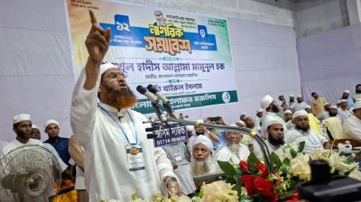 রাষ্ট্রপতির সমালোচনায় মামুনুল হক