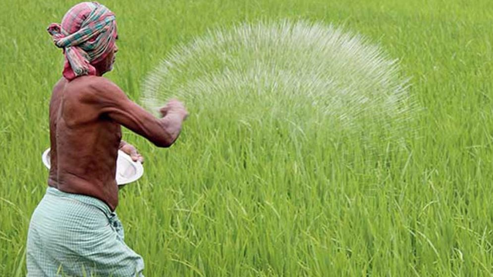সুষম সার ব্যবস্থাপনার রূপরেখা
