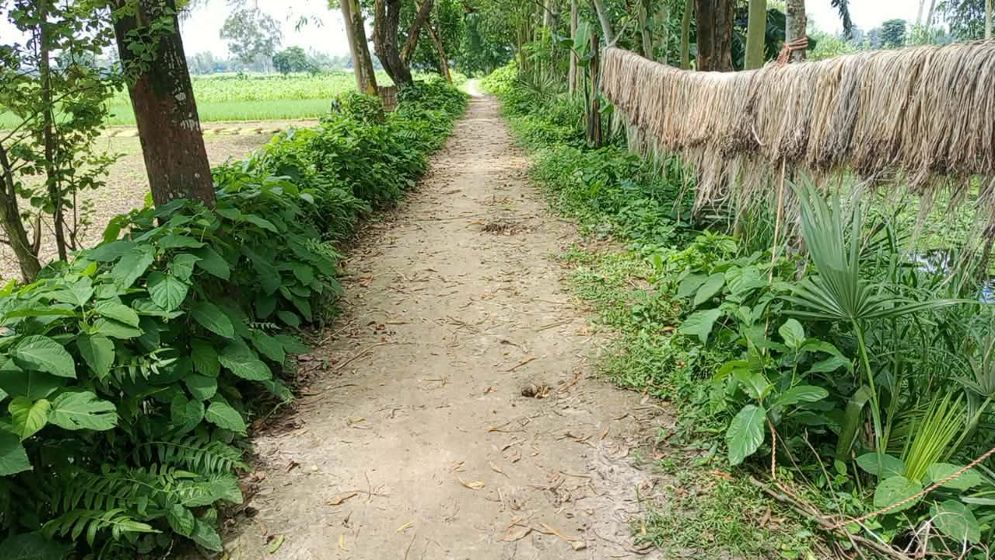 রাস্তা নির্মাণে দুই লাখ টাকার বরাদ্দ, মাটি-আগাছা কেটে কাজ শেষের অভিযোগ