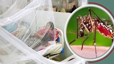ডেঙ্গুতে ৮ জনের মৃত্যু, ২৪ ঘণ্টায় হাসপাতালে ভর্তির রেকর্ড