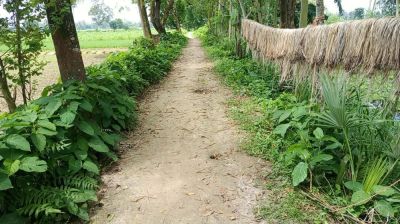 রাস্তা নির্মাণে দুই লাখ টাকার বরাদ্দ, মাটি-আগাছা কেটে কাজ শেষের অভিযোগ