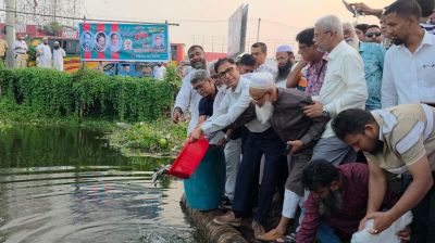 সিদ্ধিরগঞ্জে বিএনপির মাছের পোনা অবমুক্ত করণ ও বৃক্ষরোপণ অভিযান