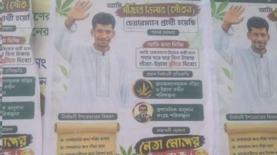 ‘আমি চেয়ারম্যান হলে গাঁজা-ইয়াবা ফ্রি দিব’