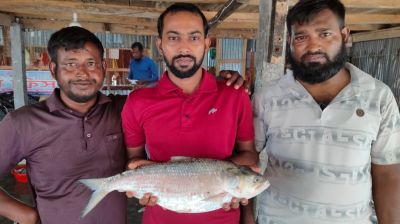 ২ কেজির ইলিশের দাম সাড়ে ৭ হাজার টাকা