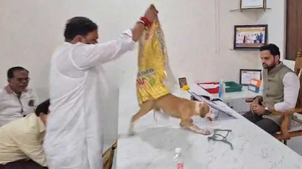 পথকুকুরের উৎপাত: প্রতিকার না পেয়ে কর্মকর্তার টেবিলে ছেড়ে দেওয়া হলো কুকুর