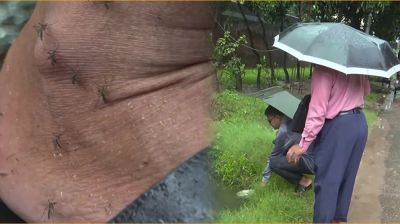 কুমিল্লায় নগর থেকে গ্রামে ছড়িয়ে পড়ছে ডেঙ্গু