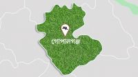 চোর অপবাদে দুই নারীকে মারপিট ও ভিডিও ধারণ, গ্রেফতার ২