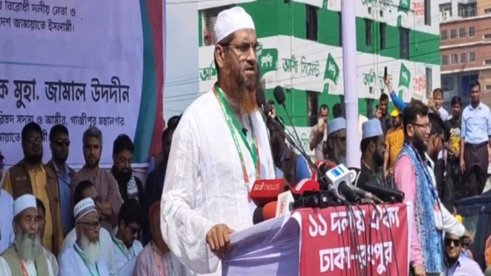 গণভোটের রায় কার্যকর ছাড়া সরকারের বিকল্প পথ নেই: মামুনুল হক