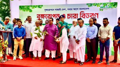 ‘পরিবেশের ভারসাম্য রক্ষায় শহরকে সবুজ করতে হবে’