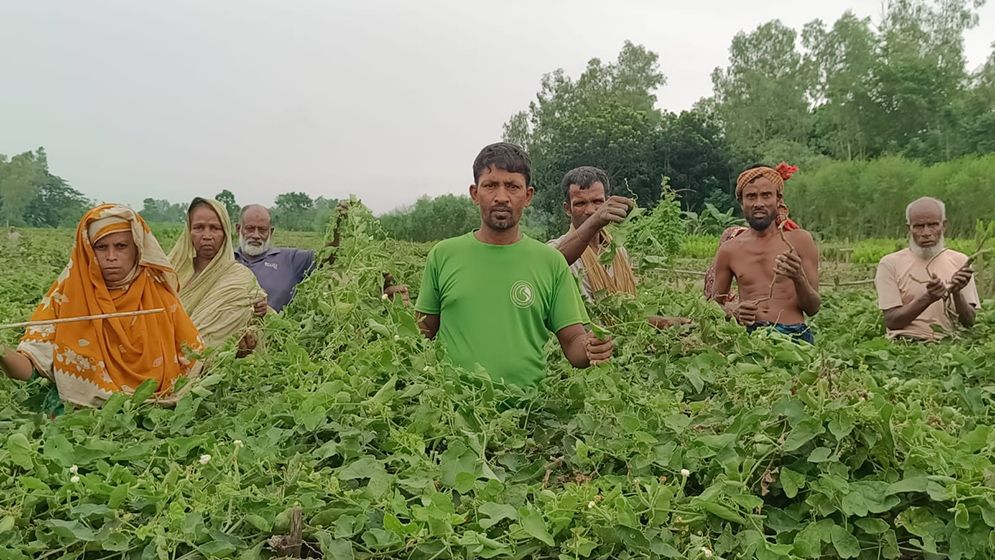 এক রাতেই ১২ কৃষককে নিঃস্ব করল দুর্বৃত্তরা