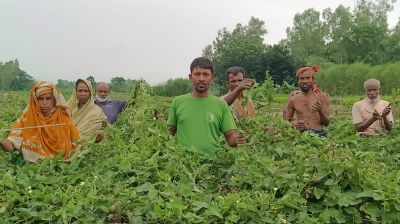 এক রাতেই ১২ কৃষককে নিঃস্ব করল দুর্বৃত্তরা