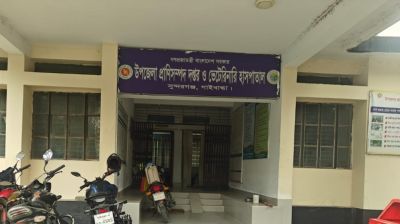 ৯ জনকে কামড়ানো সেই শিয়ালের মাথা যে কারণে নেওয়া হলো গবেষণাগারে