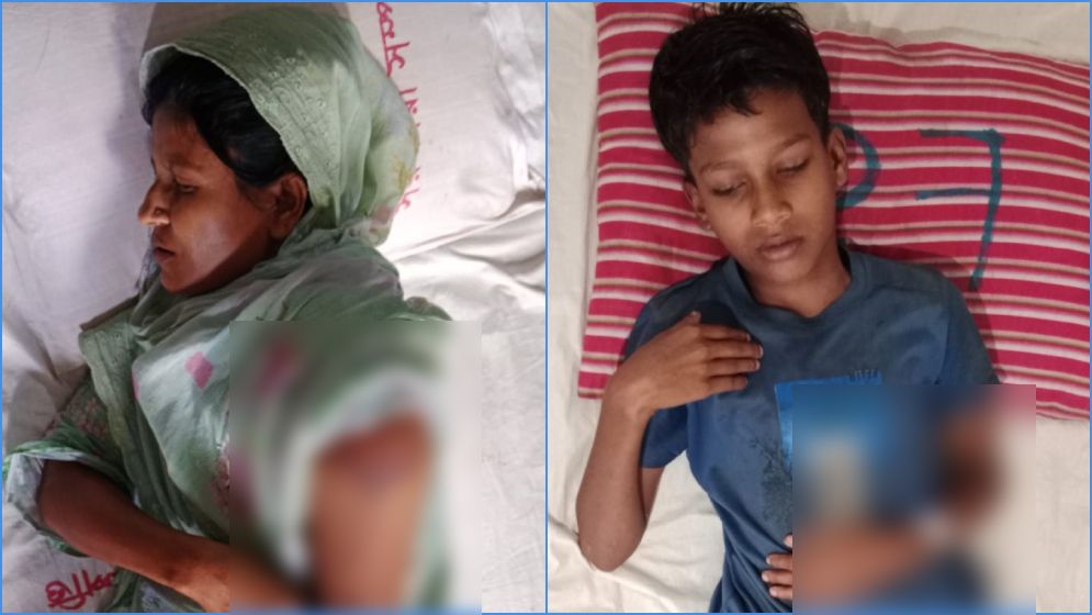 চুরির অপবাদে শিশু ও মাকে পেটানোর অভিযোগ বিএনপি নেতার বিরুদ্ধে